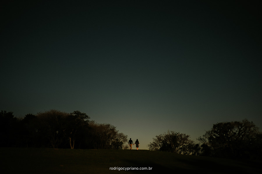 fotos ensaio pré casamento realizado na Fazenda Ipanema