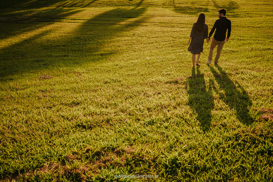 fotos ensaio pré casamento realizado na Fazenda Ipanema